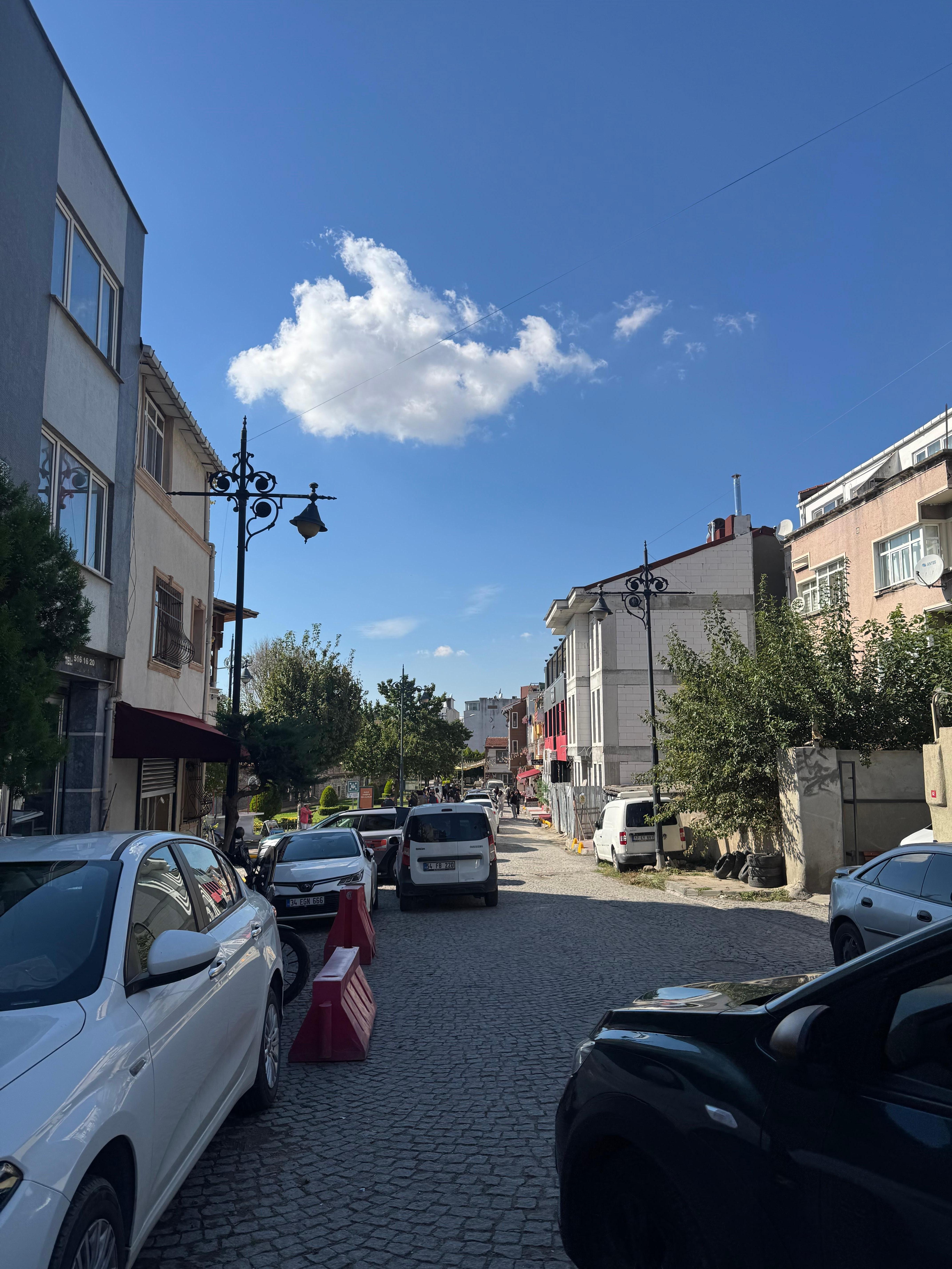 View in Front of the Hotel 