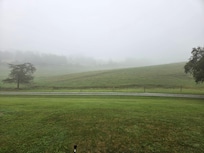View from front porch