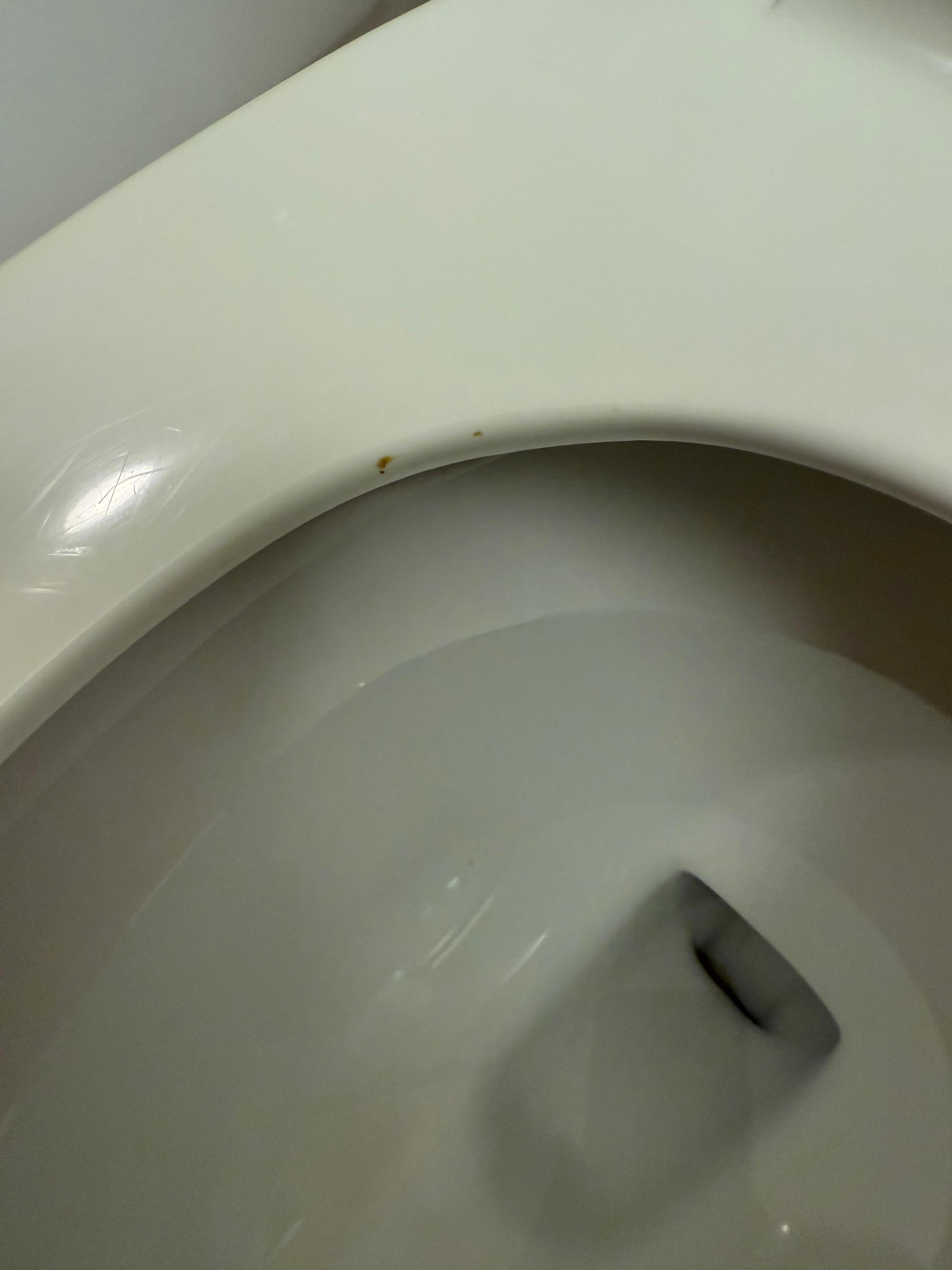 Poop on the seat