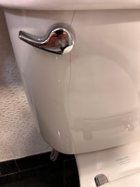 Crack in toilet bowl.