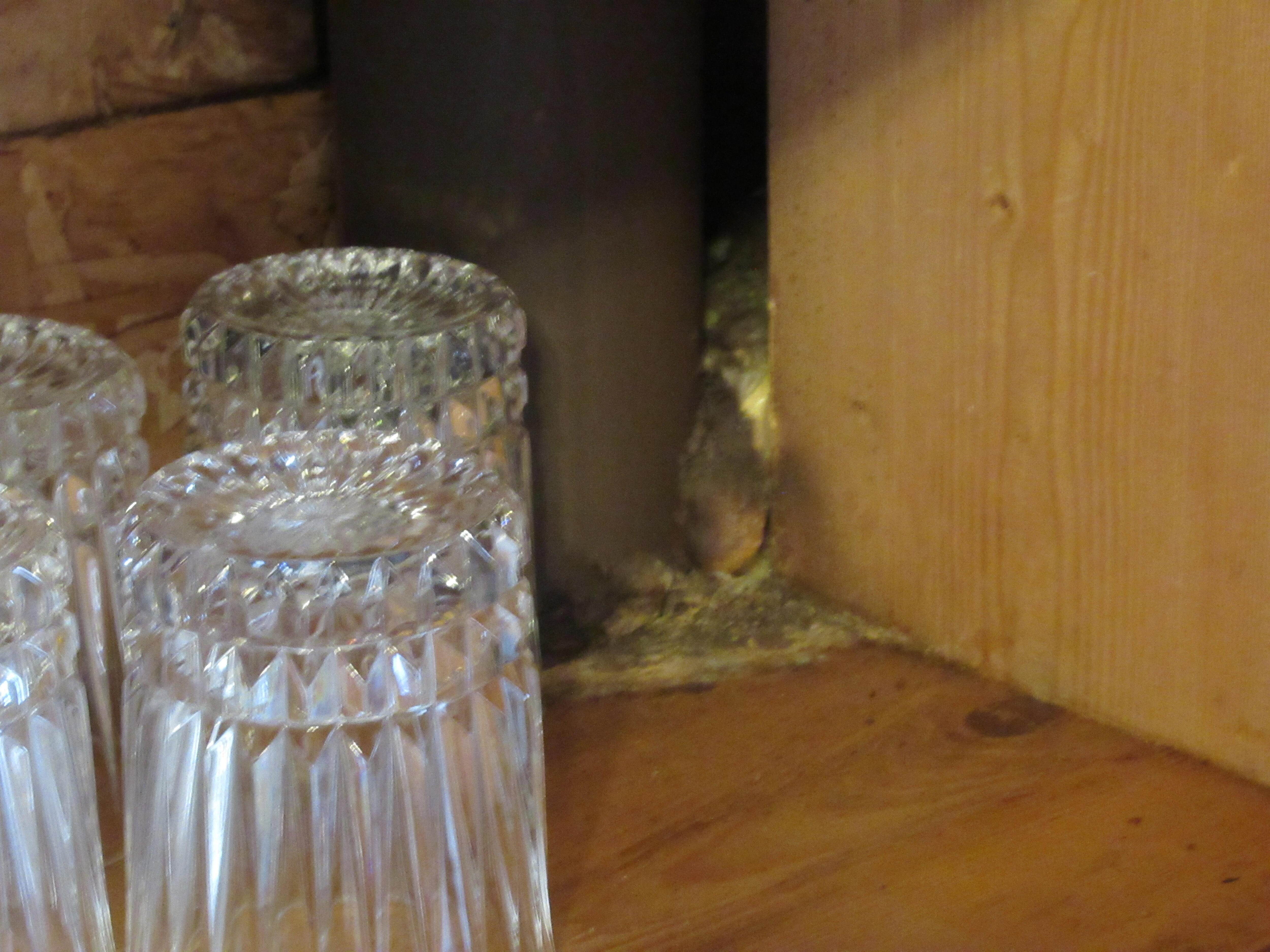 Mess on kitchen shelf where dishes are stored