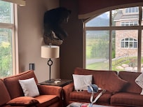 Bear added to wall.