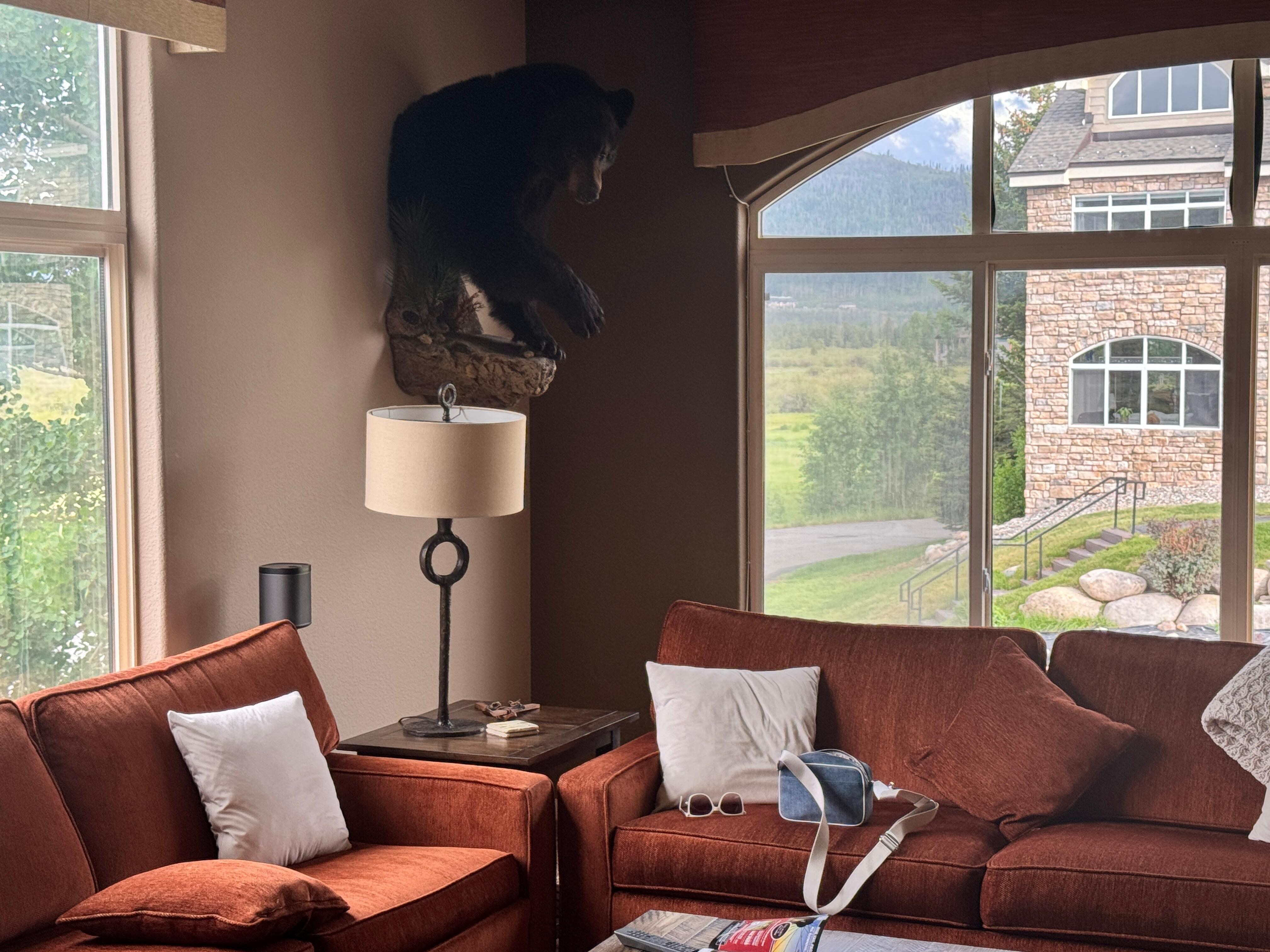 Bear added to wall.