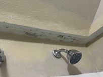 Black Mold