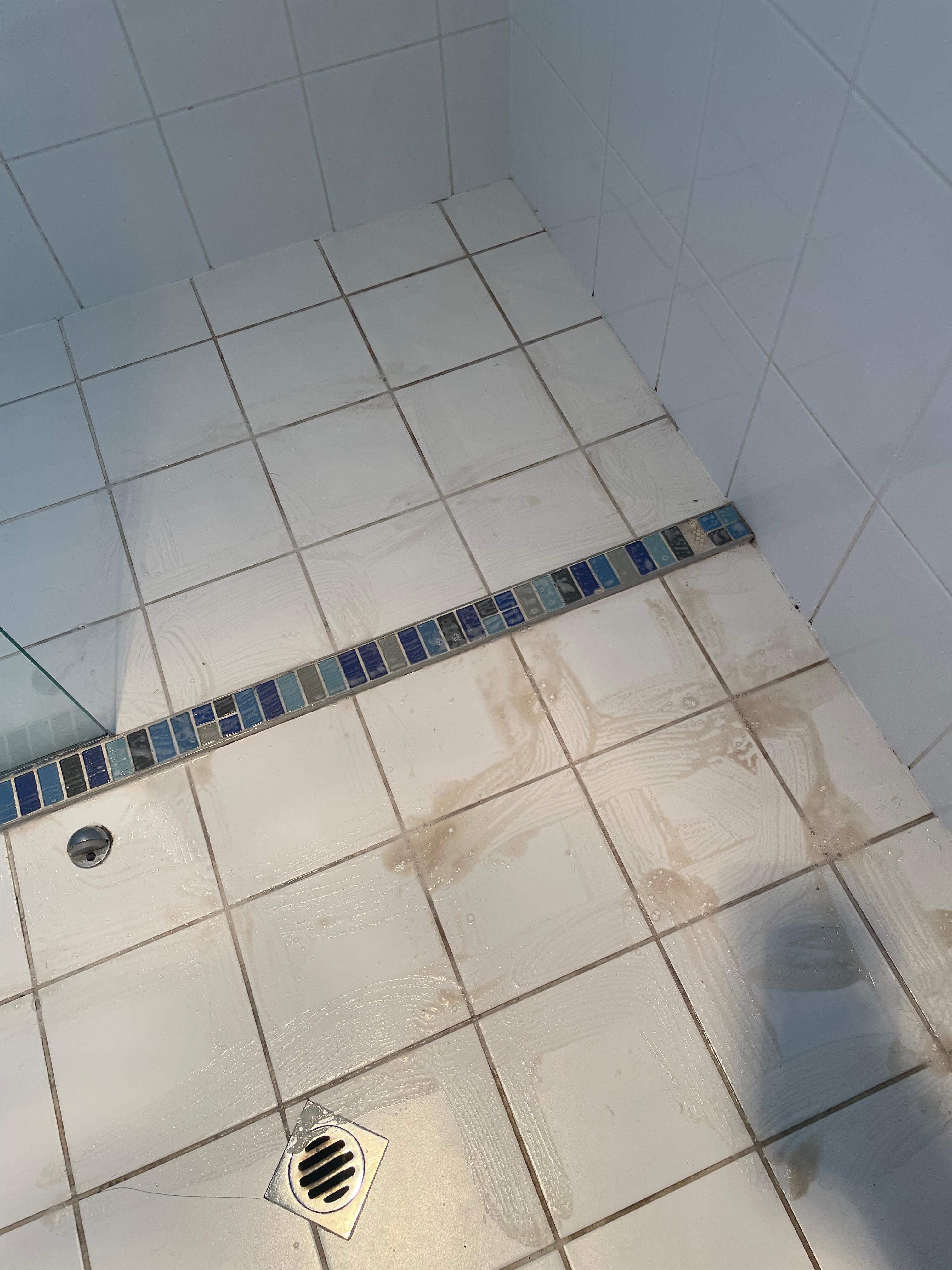 Shower 
Unable to open the bathroom window 