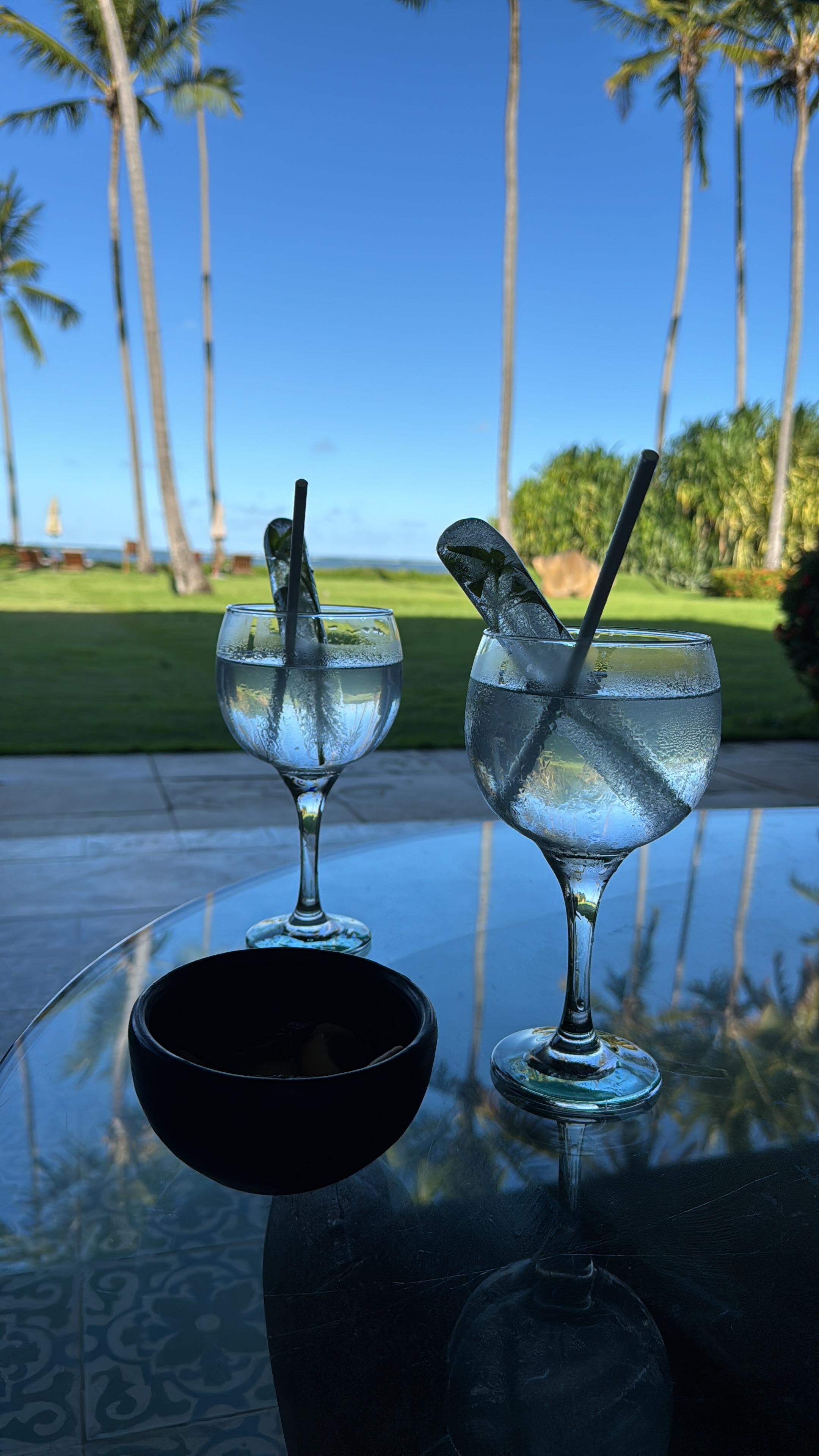 Welcome drinks: coconut water with basil ice
