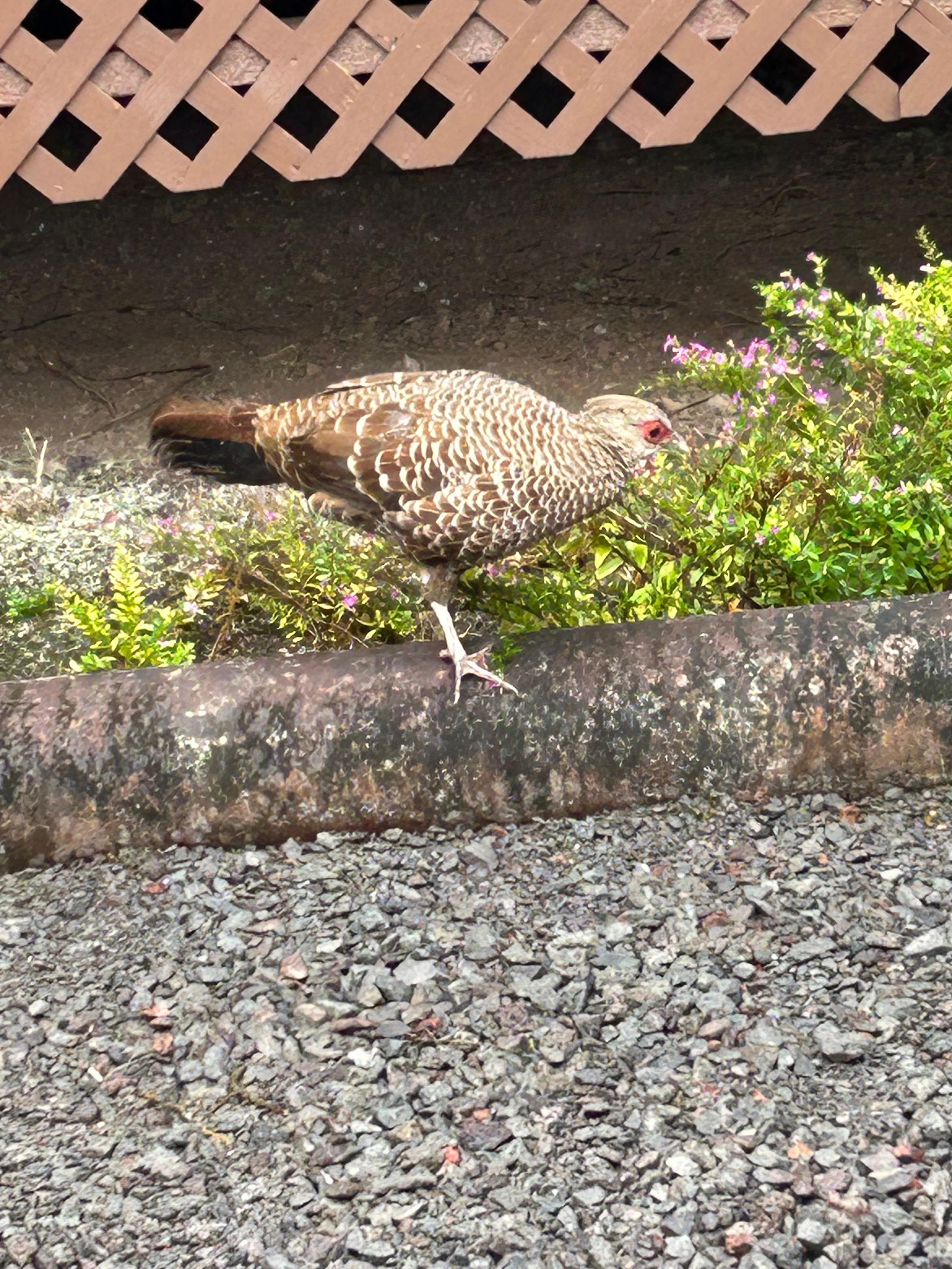 Outside the front door.