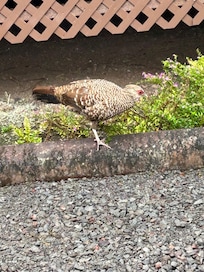 Outside the front door.