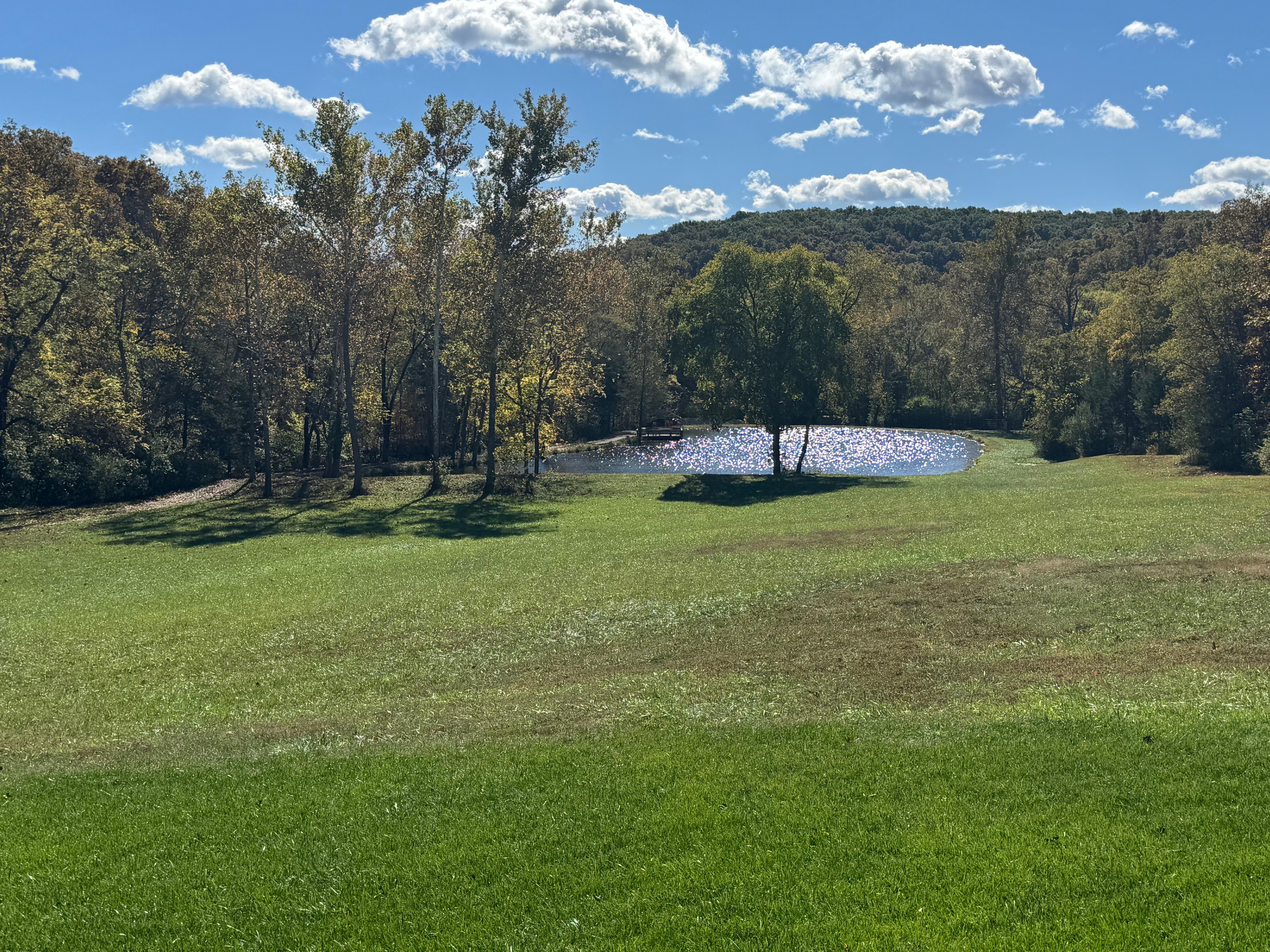 View from the cozy porch on a sunny day. 