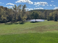 View from the cozy porch on a sunny day.