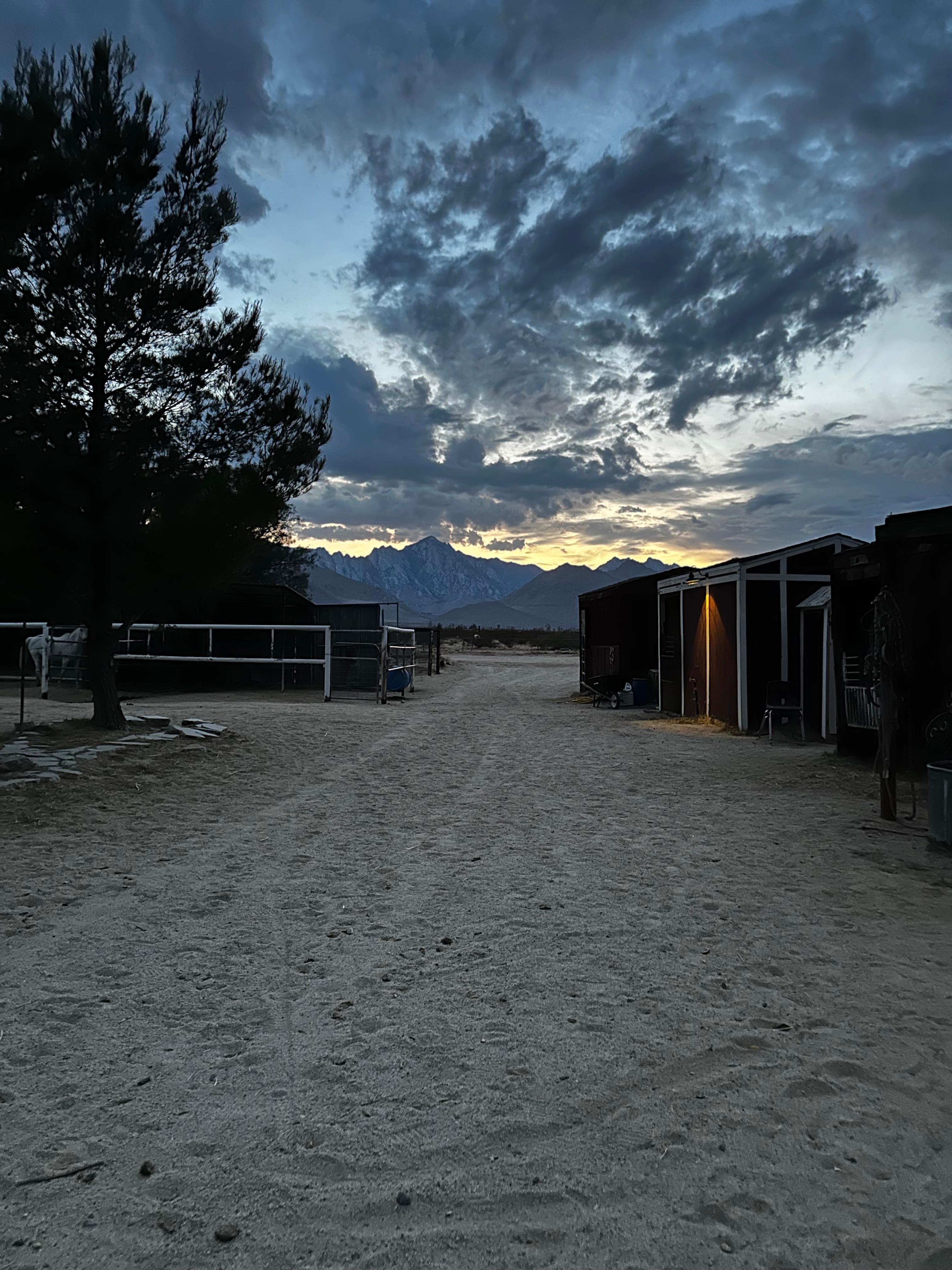 Sunset from the yard. 