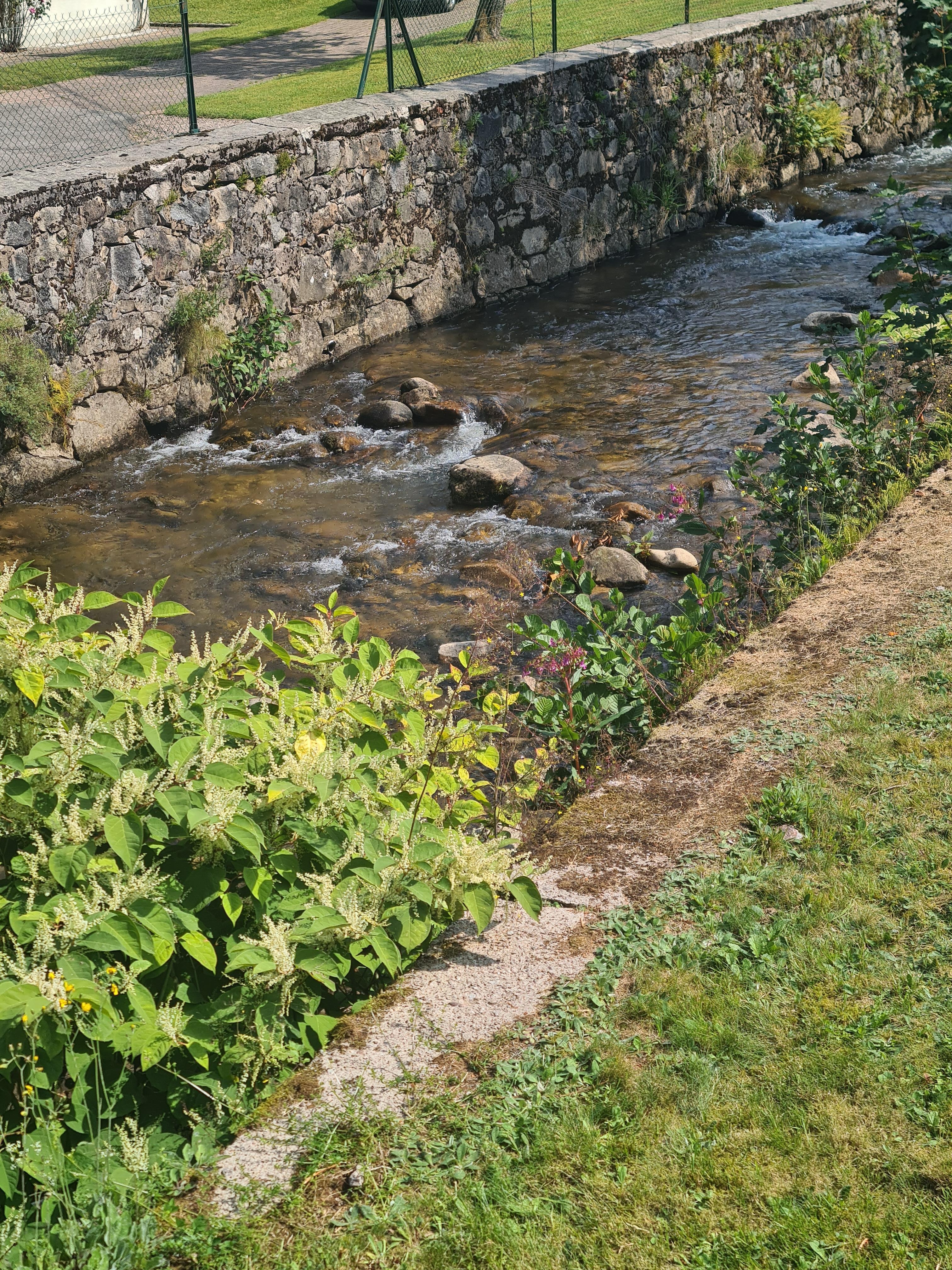 Petit cœur d'eau derrière le chalet