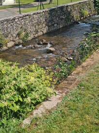 Petit cĆur d'eau derriĂšre le chalet