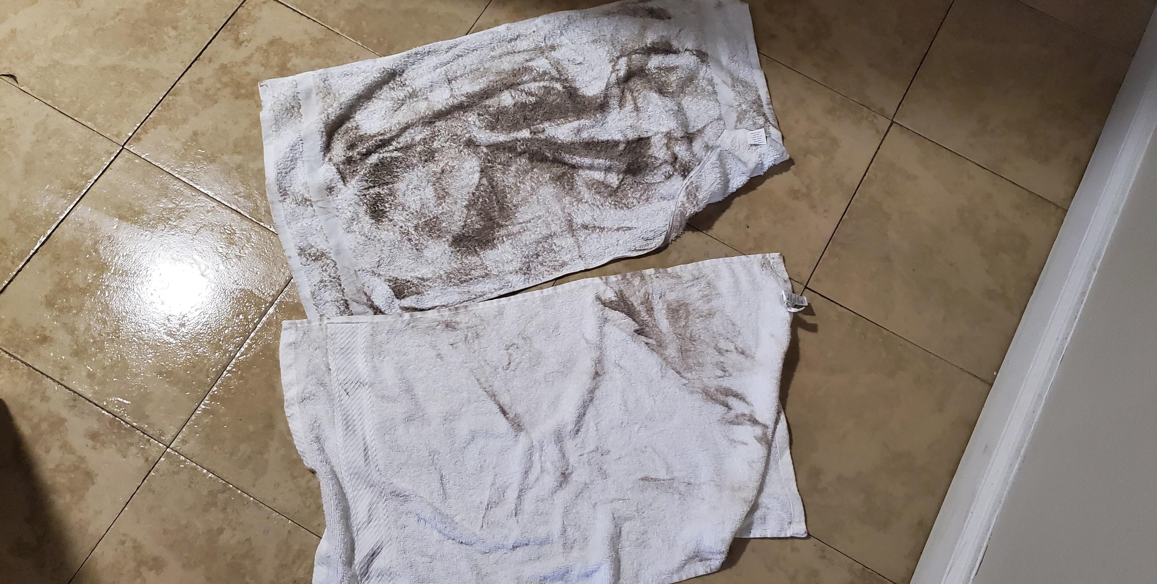 Towels after wiping fake wood and tiled floors. Note the glistening tile due to dampness.