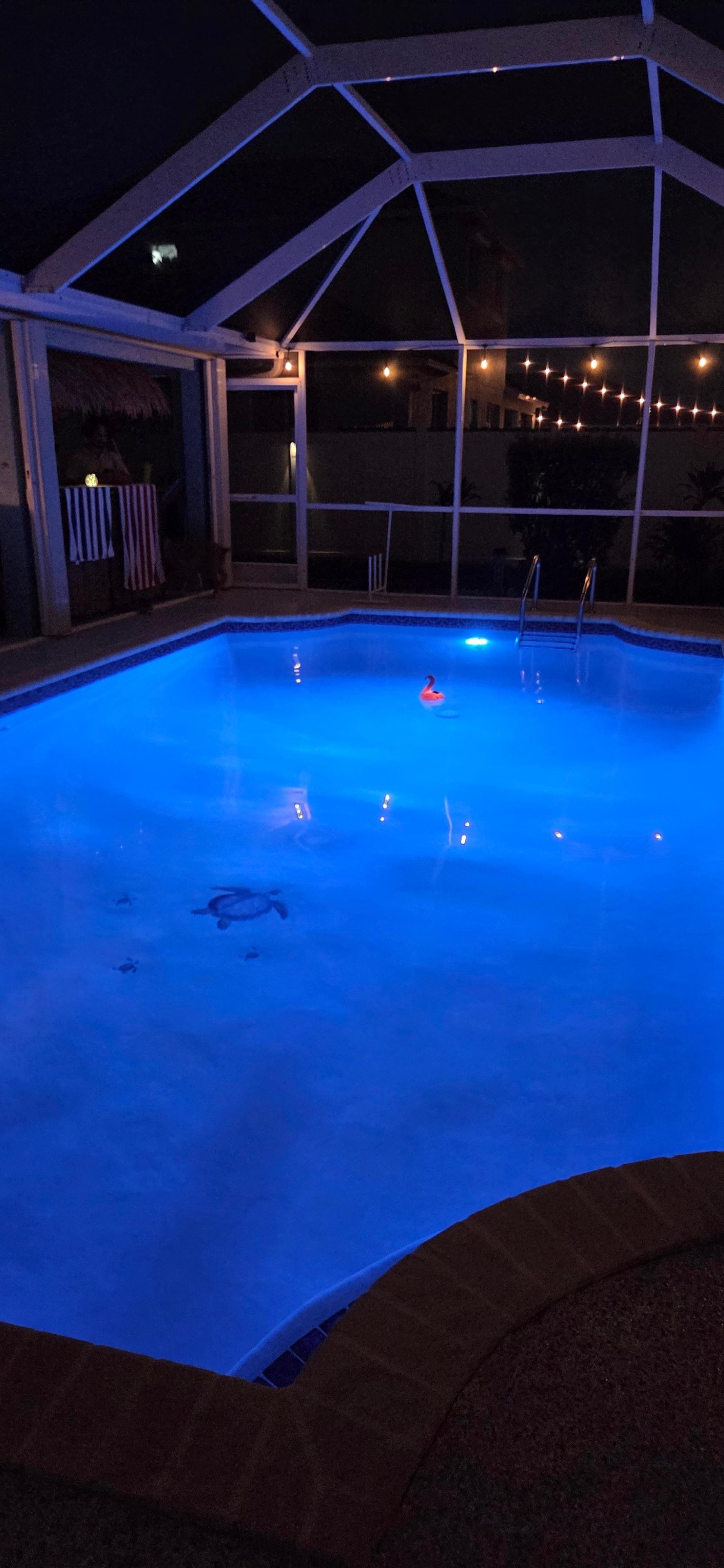 Night pool