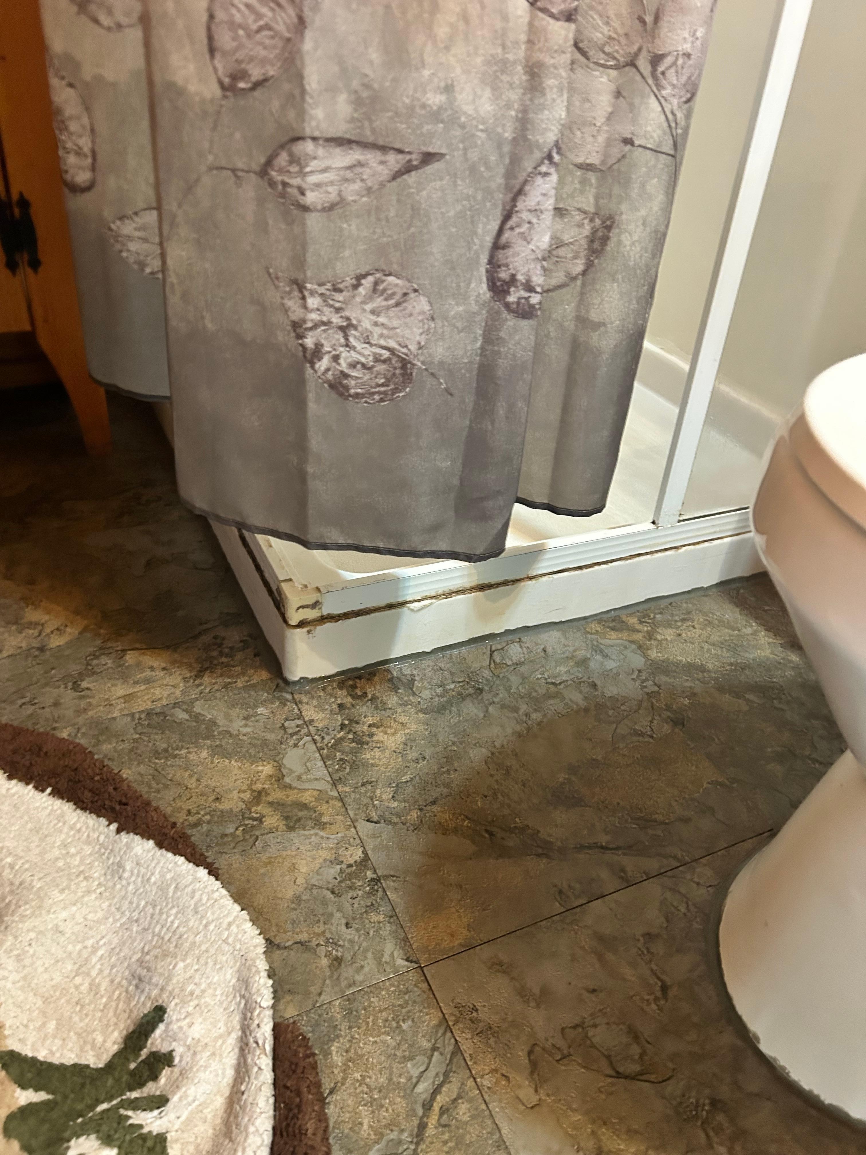 Shortened Shower Curtain which Allows Water to Drip/Drain onto Bathroom Floor 