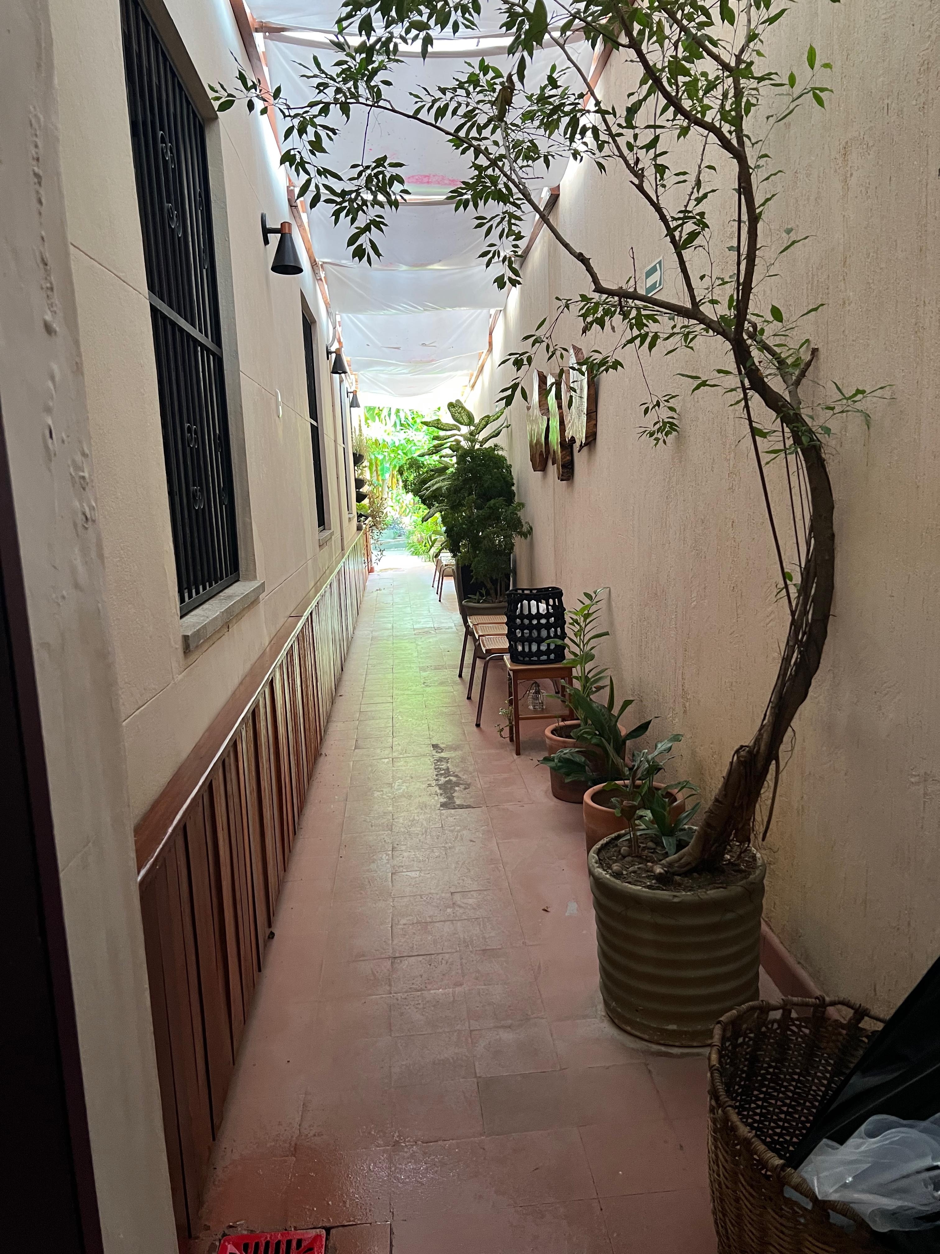 Passage to the pool and breakfast area