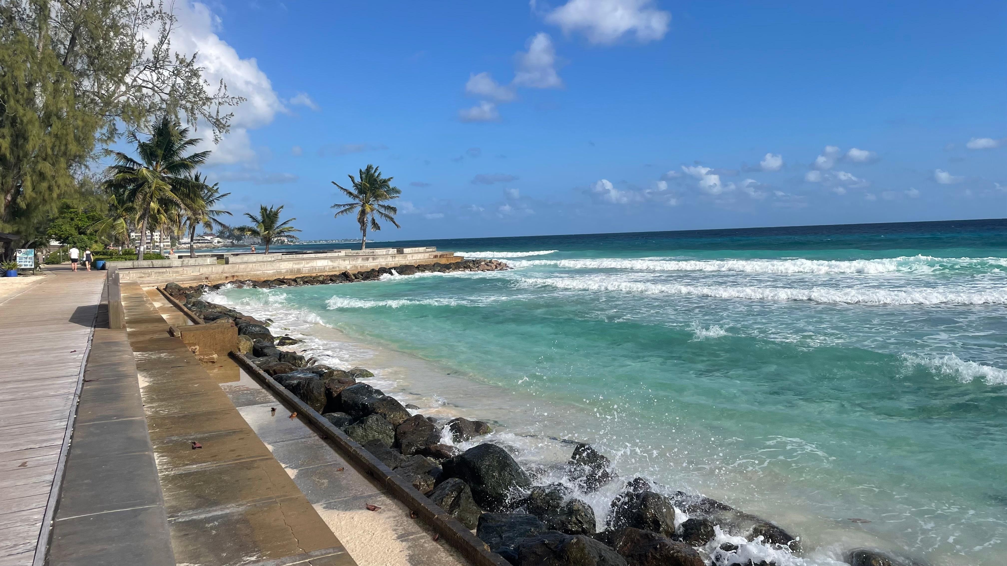 Richard Haynes Boardwalk