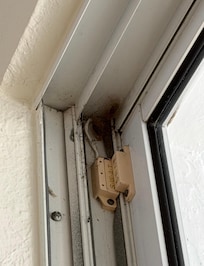 This was inside the house sliding door.