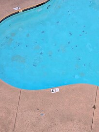 Filthy Swimming Pool