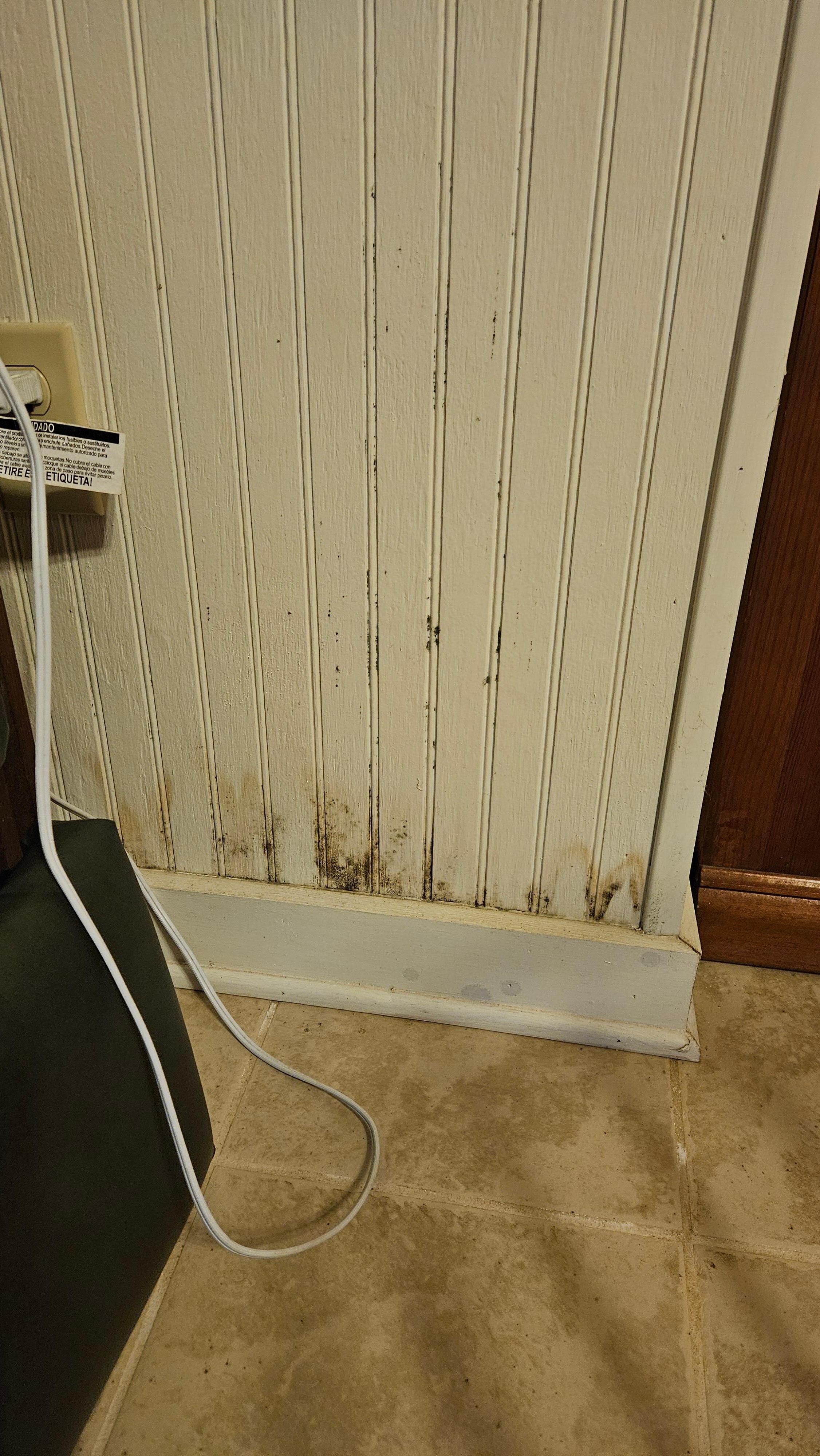 Basement mold issue. Nothing in the basement was inviting