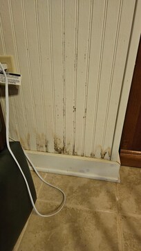 Basement mold issue. Nothing in the basement was inviting