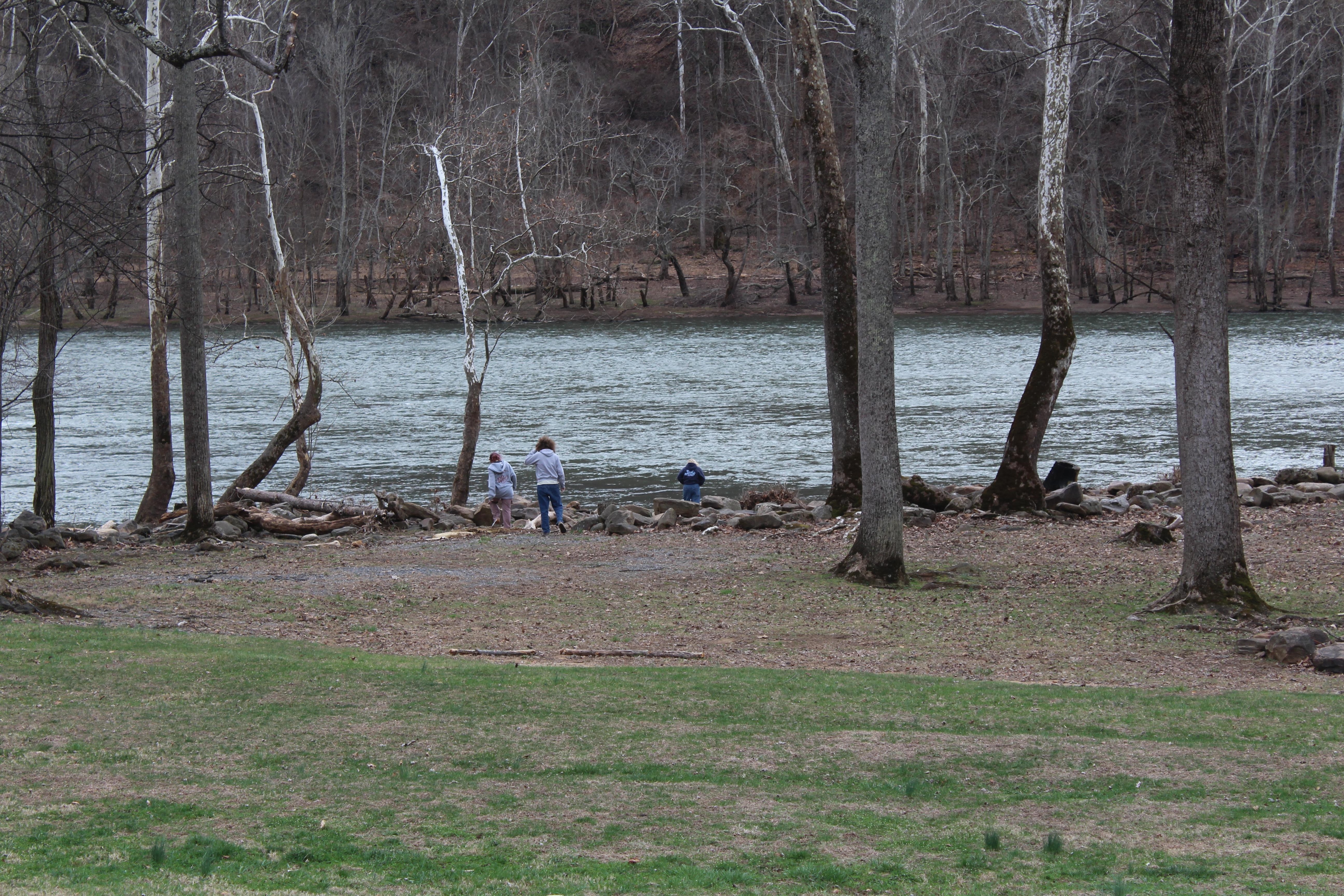 From the house looking toward the River