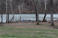 From the house looking toward the River