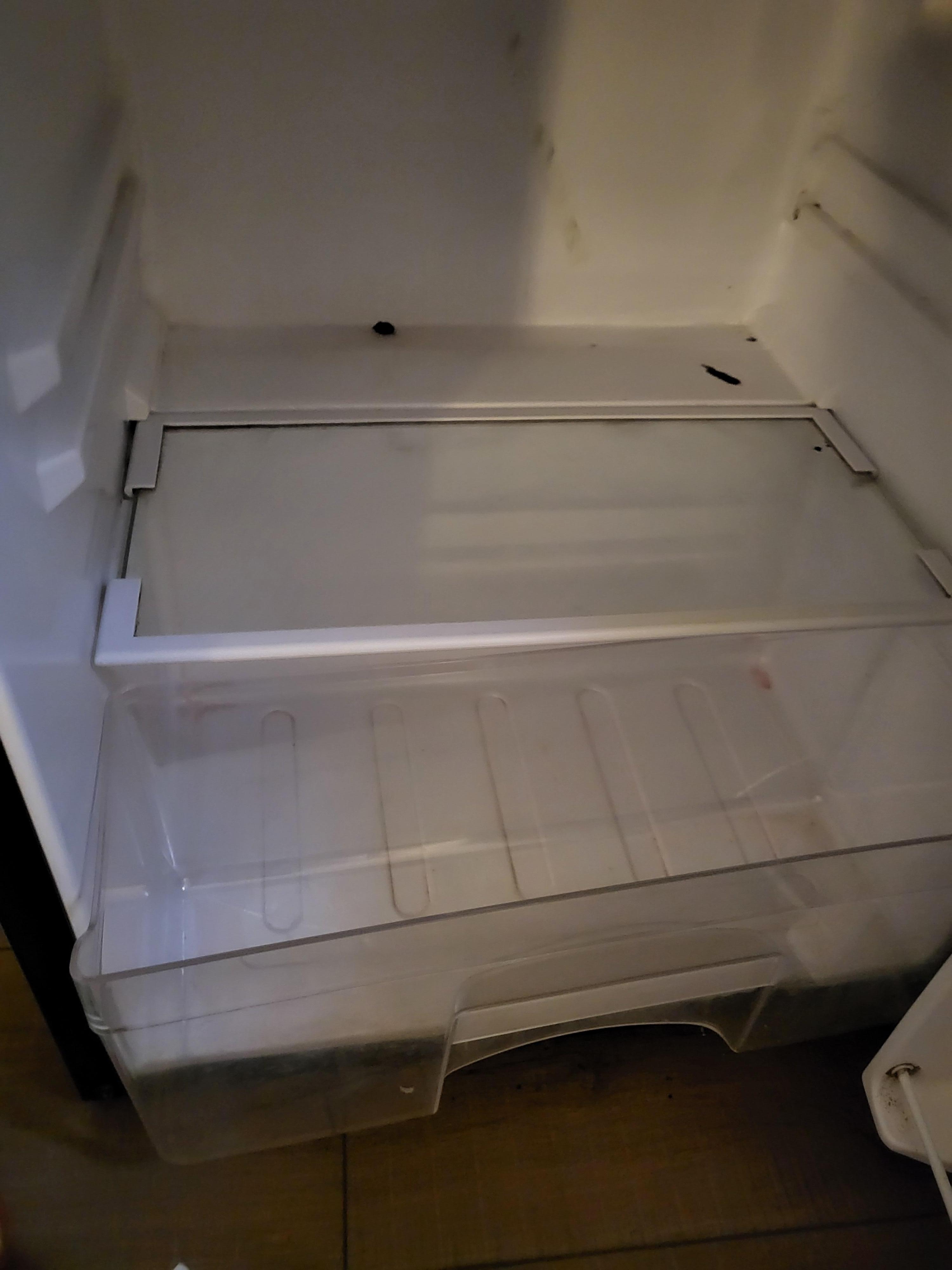 Inside fridge 
