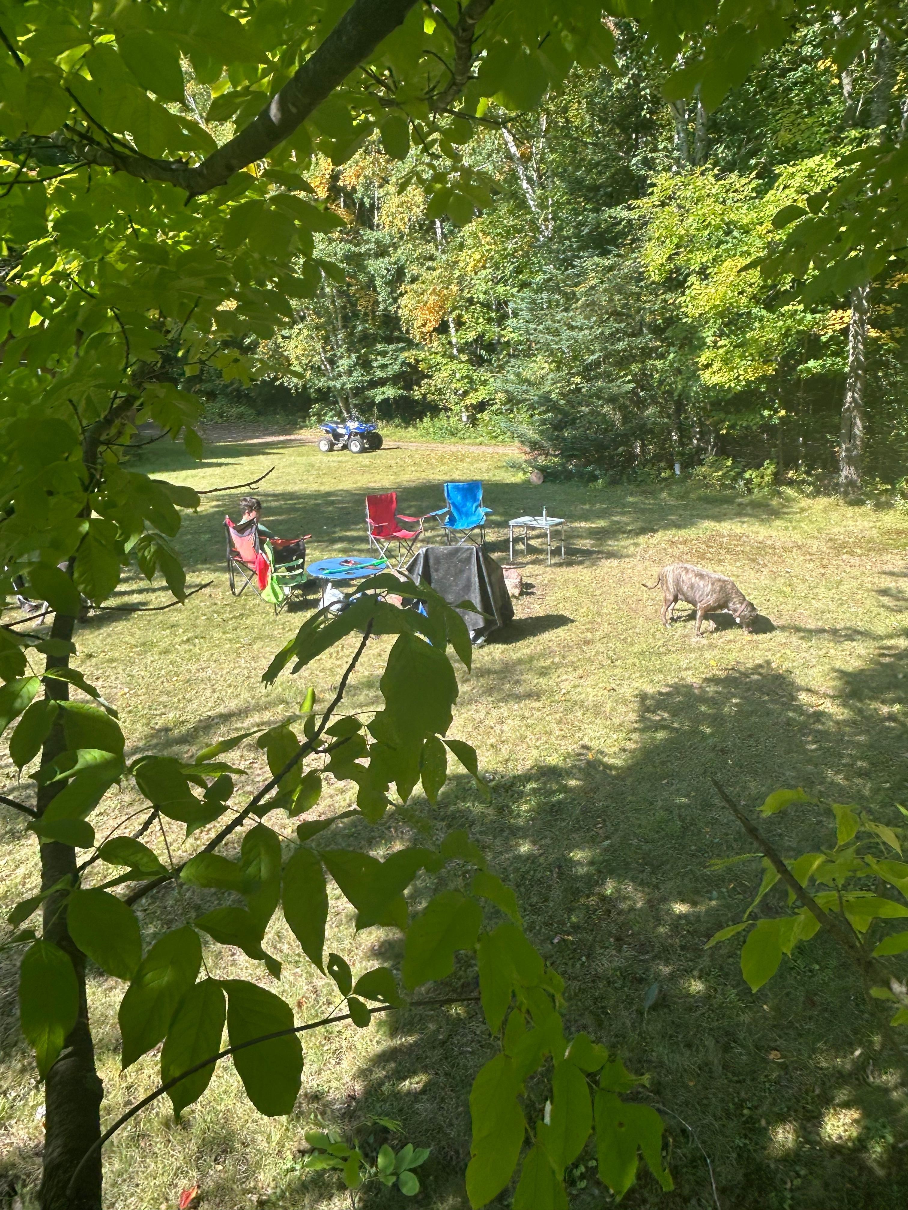 Beautiful fire pit area