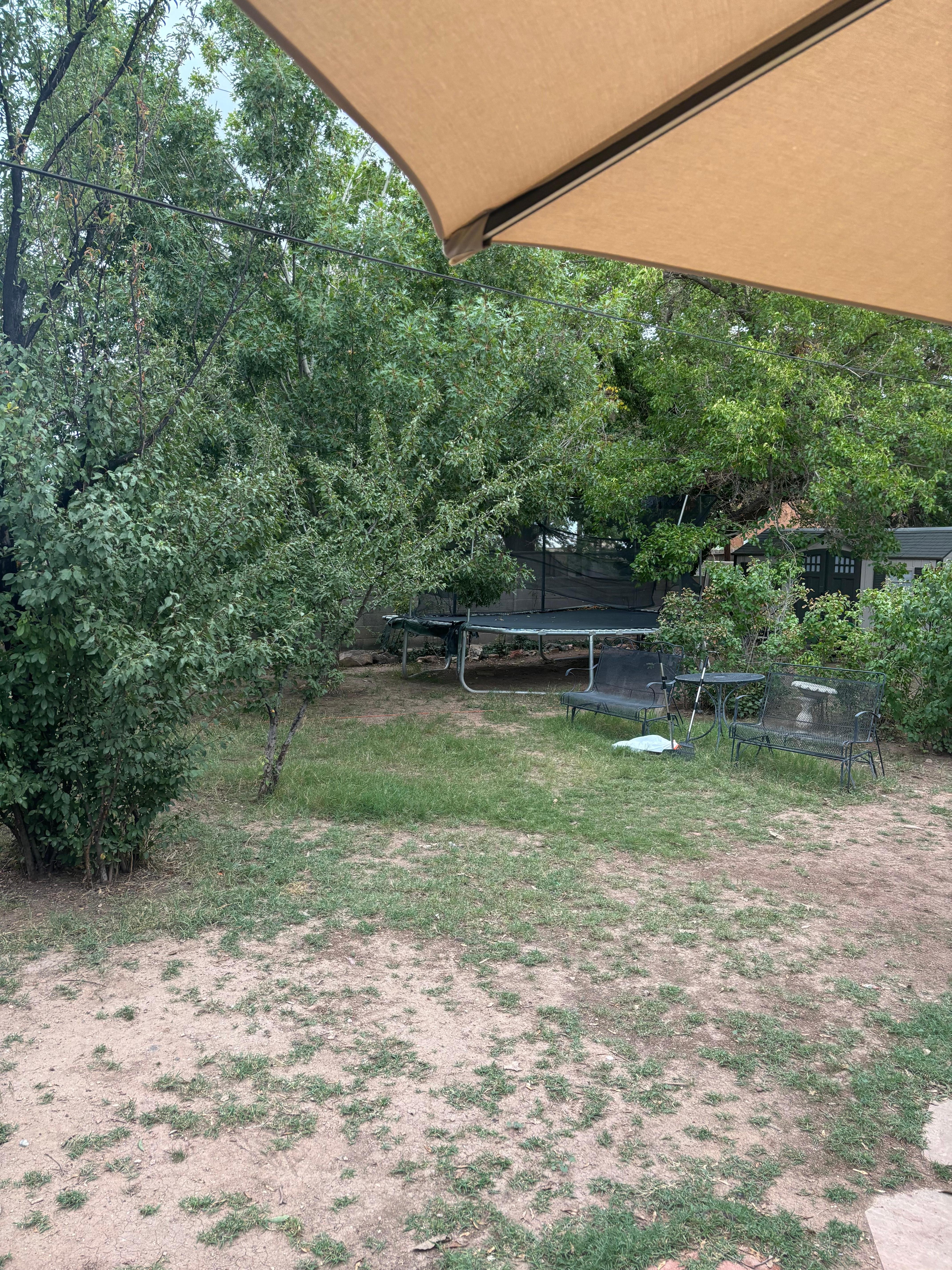 This is how bad the yard looks currently. 