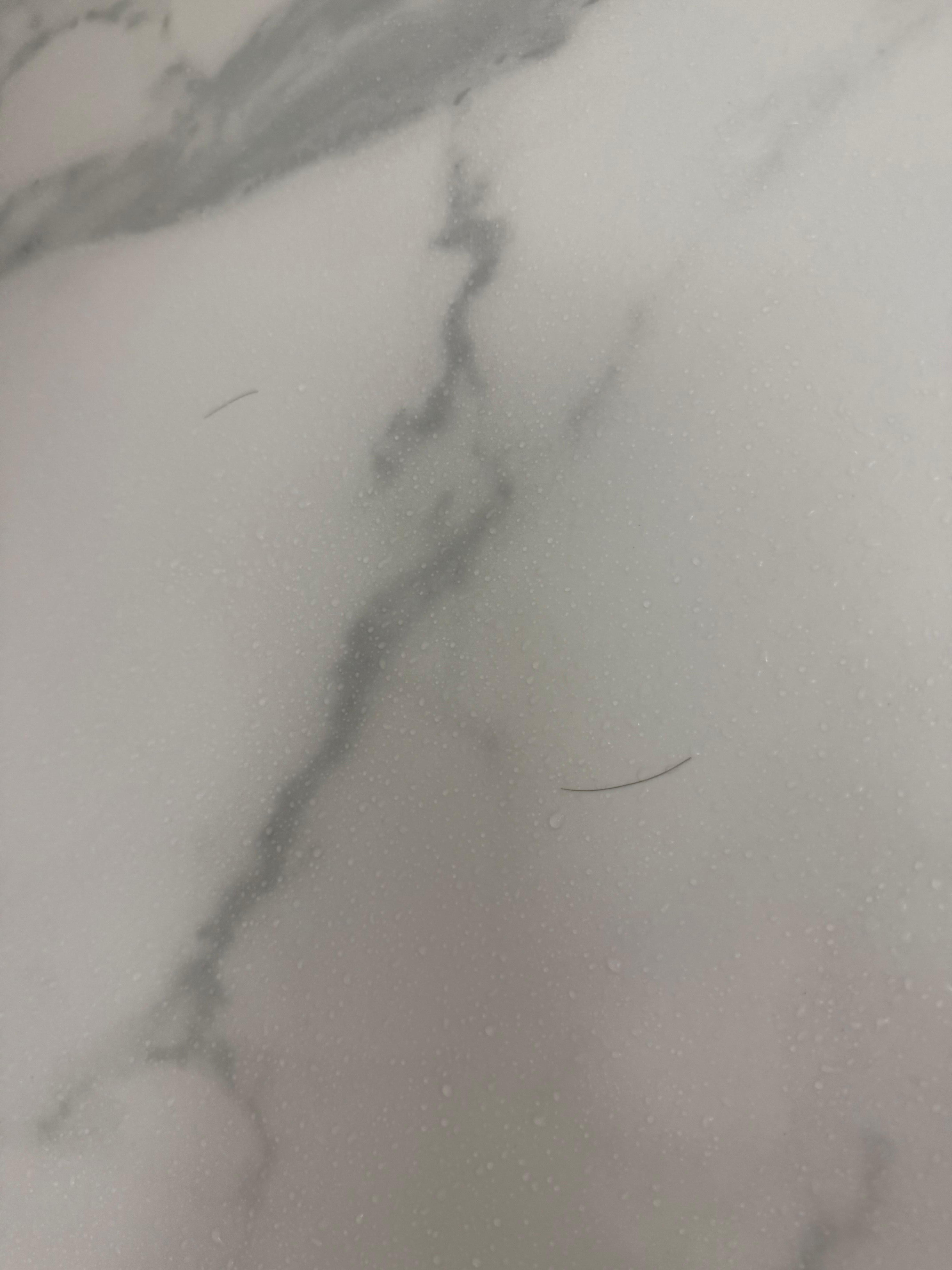 Hairs in shower everywhere 