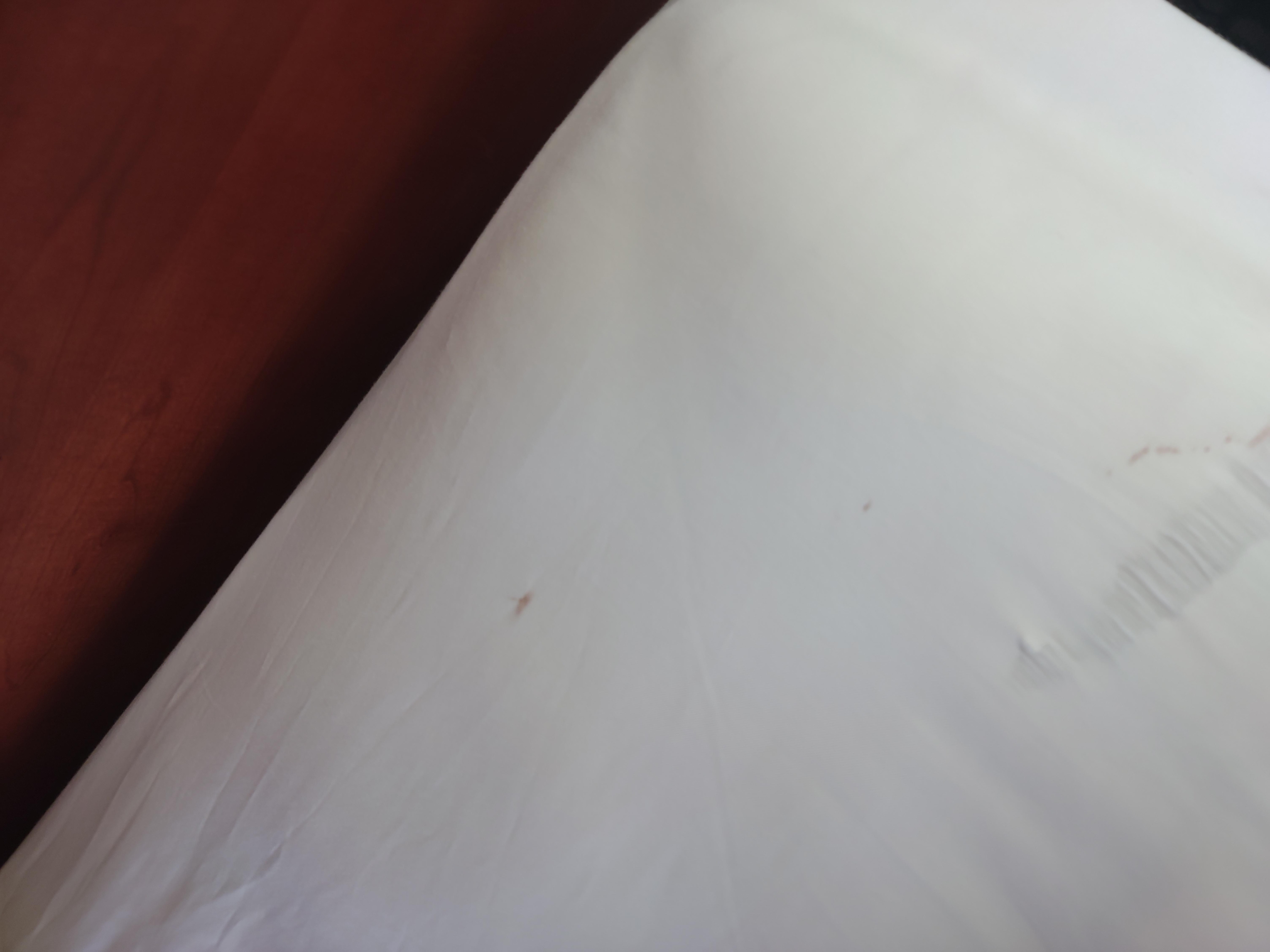 Blood in sheet.