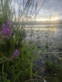 Scenery at Cranberry Lake.