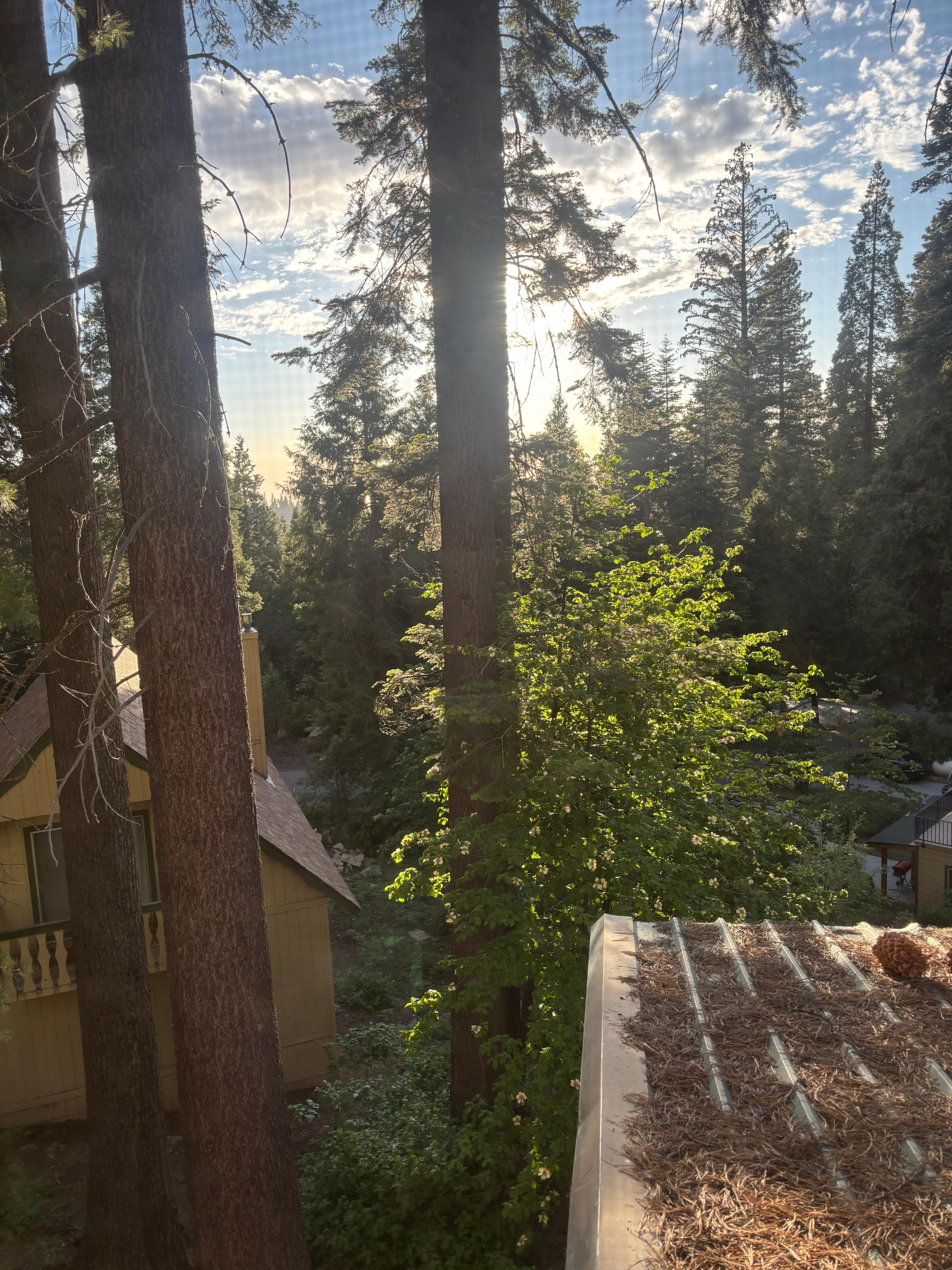 View from the bathroom window