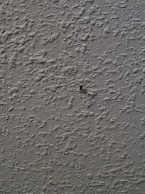 Roach on the ceiling.