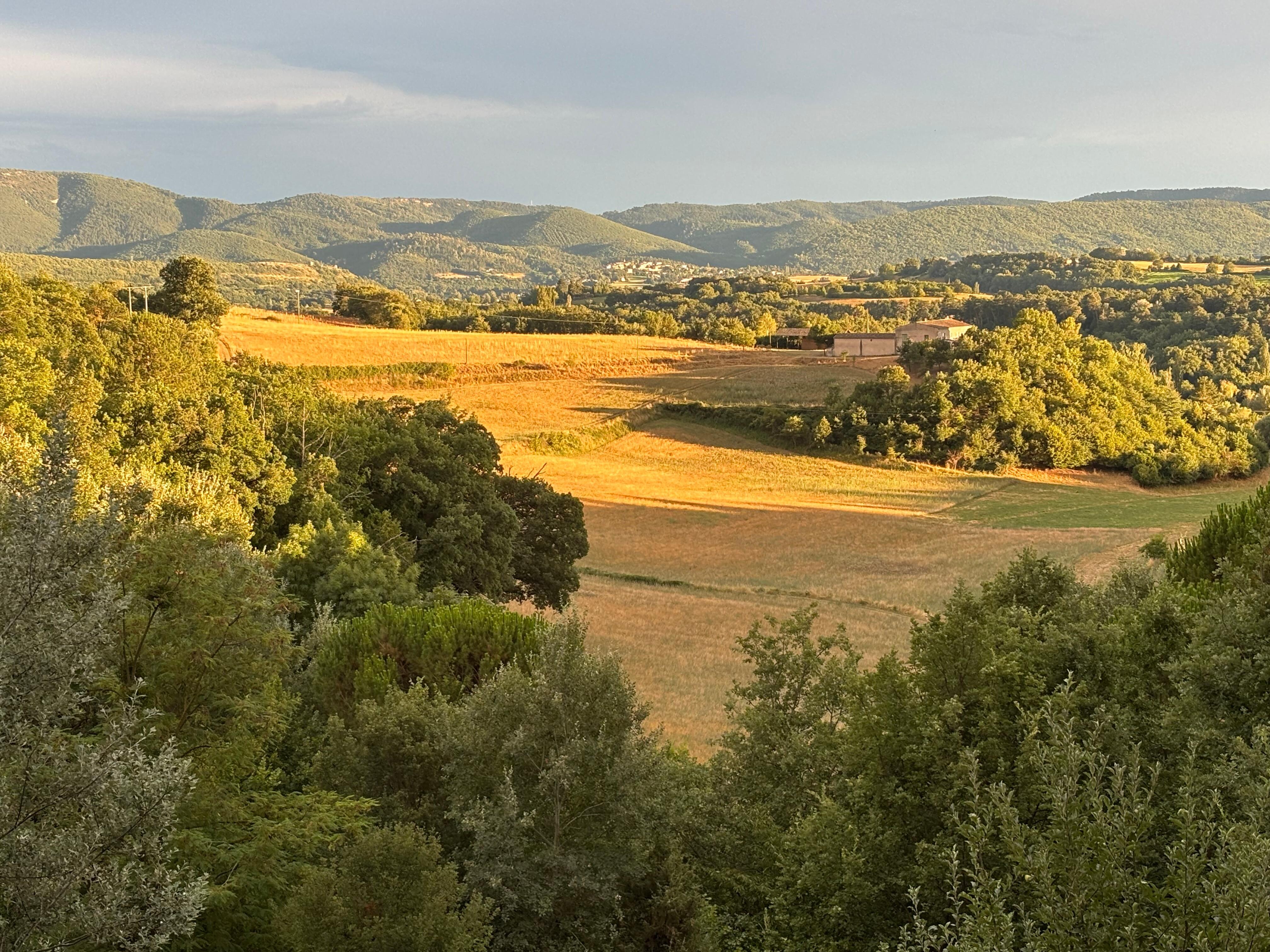Blick von der Terrasse 