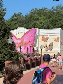 DOLLYWOOD ANUSEMENT PARK BUTTERFLY