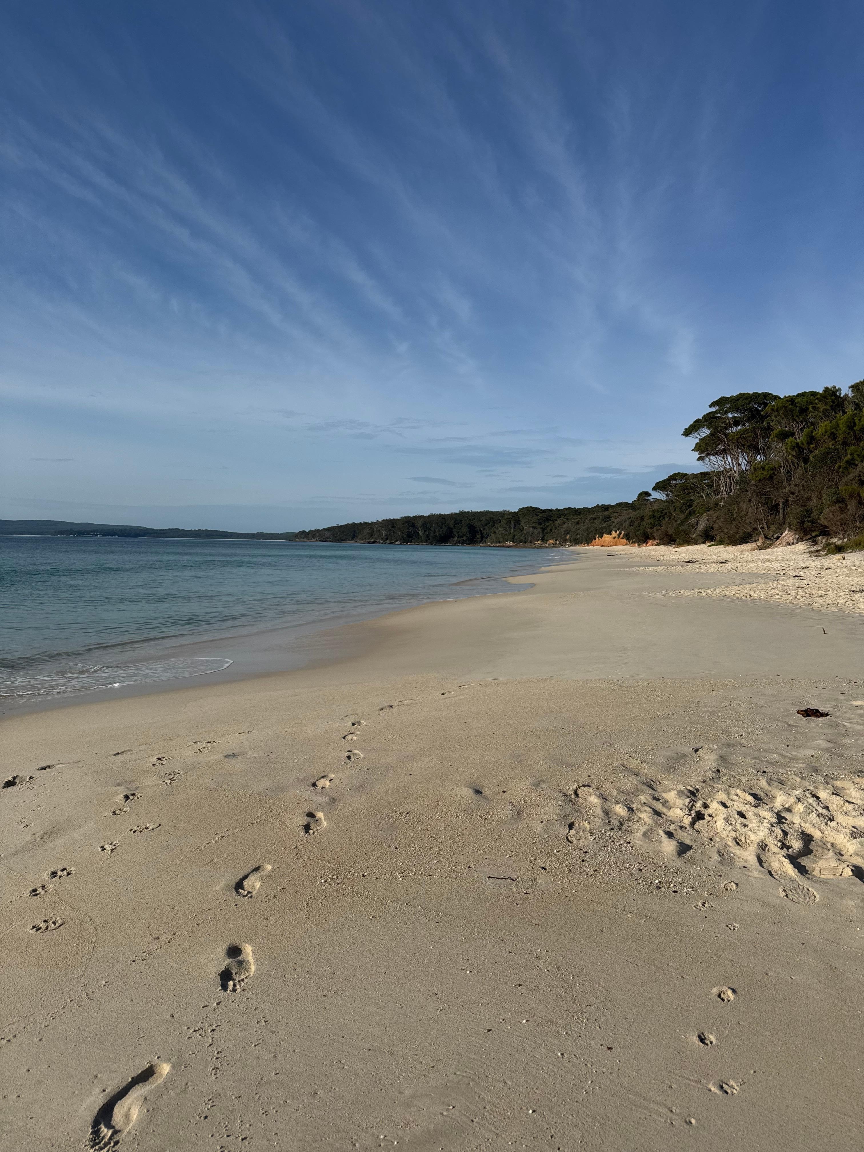 Morning walk on Nelson Beach