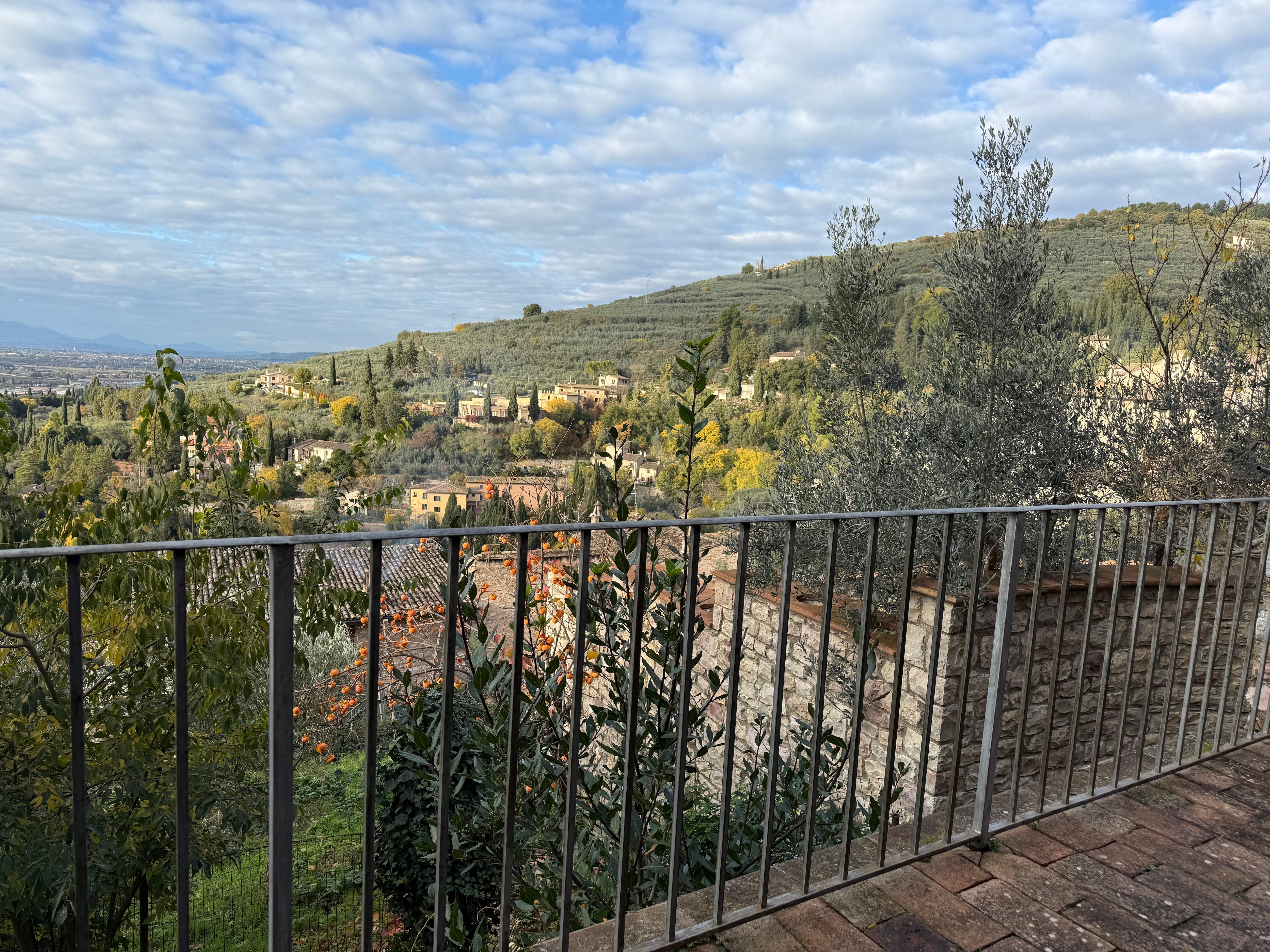 View from the terrace towards Assisi