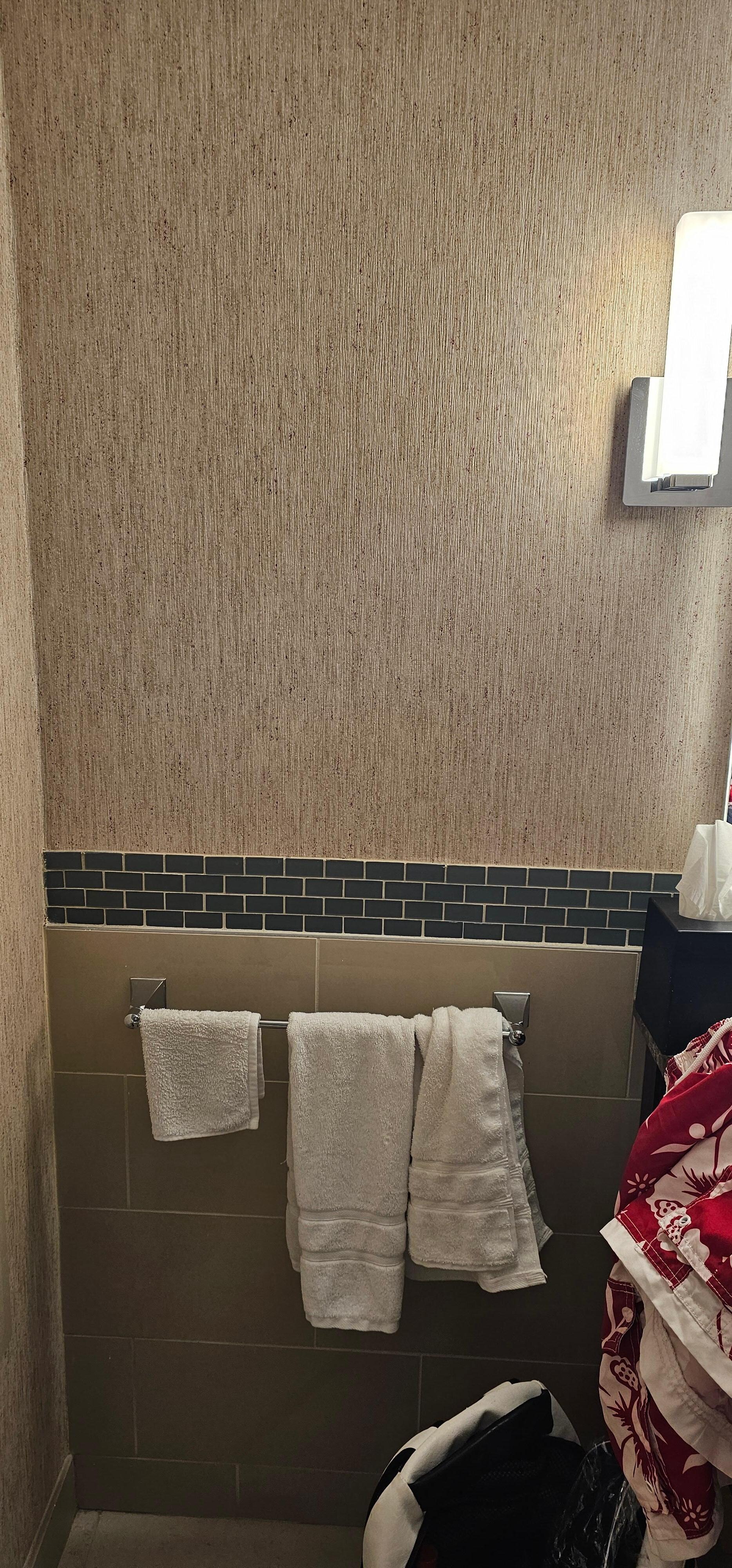 The only towel rack in the bathroom. If you hang your towels, where do you hang the half towels? I did not take any pictures of the Iguana's, but you know they are there, because I was one of the people who called the front desk to complain! 