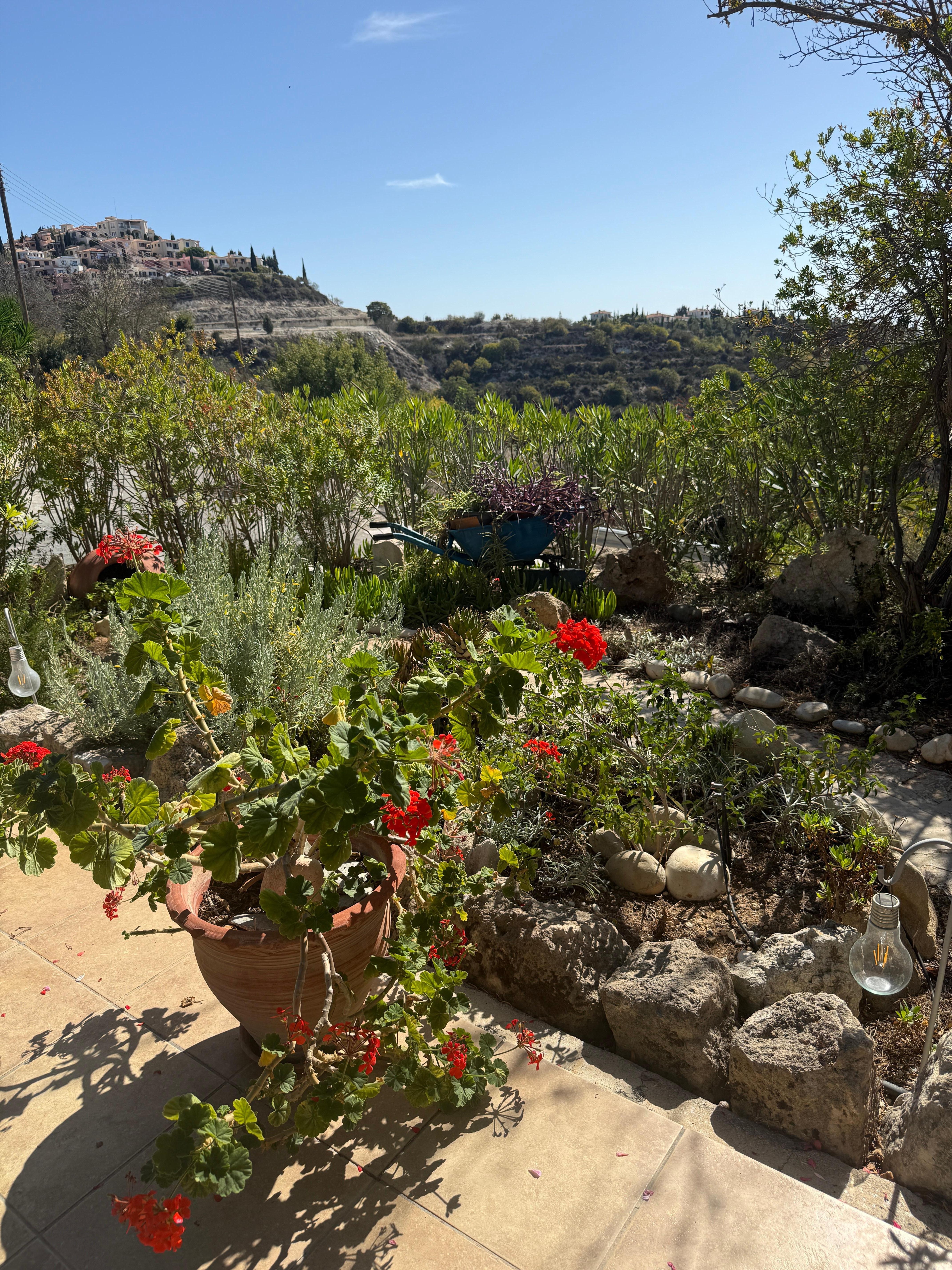 Some of the beautiful view from patio 