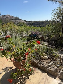 Some of the beautiful view from patio