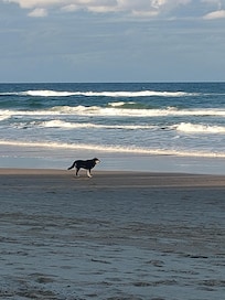 Dog friendly beach to the north