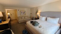 king sofabed room