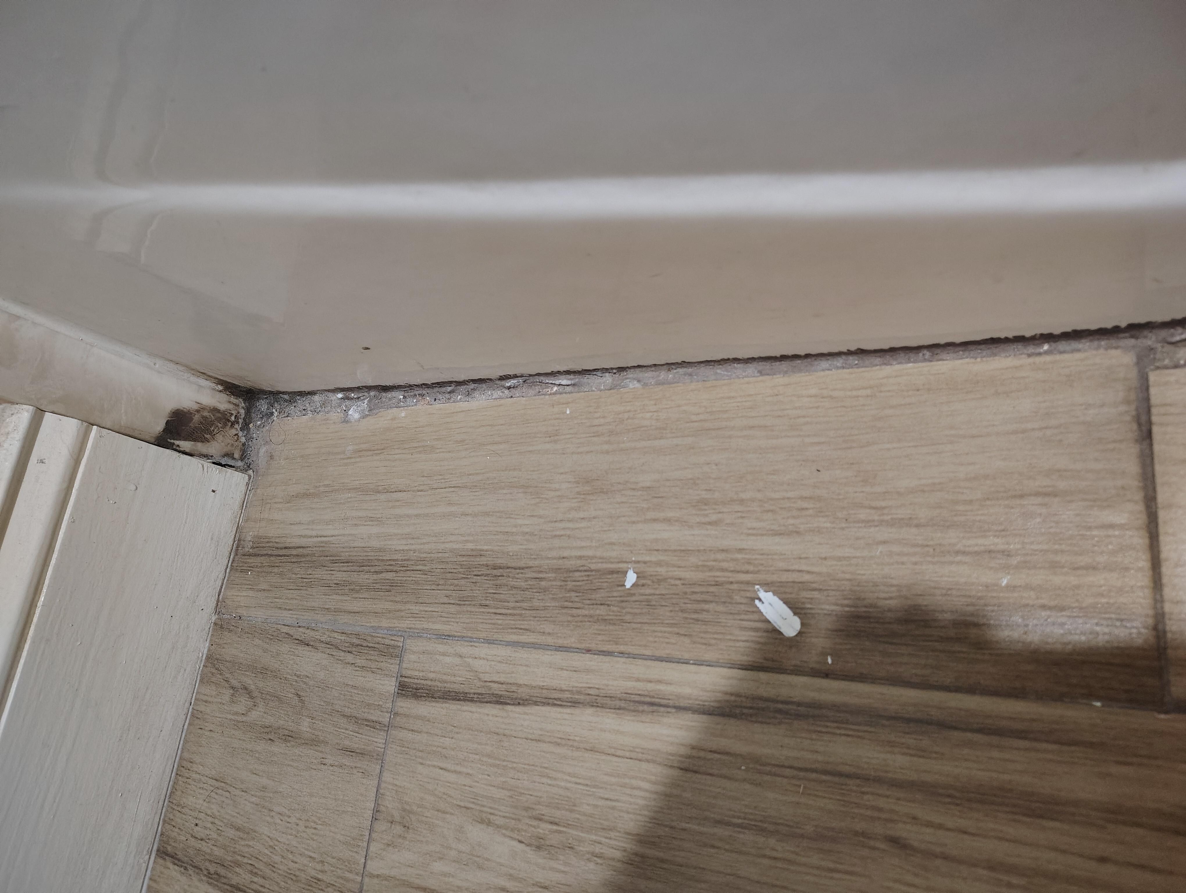 Filthy in the bathroom between tile and tub.