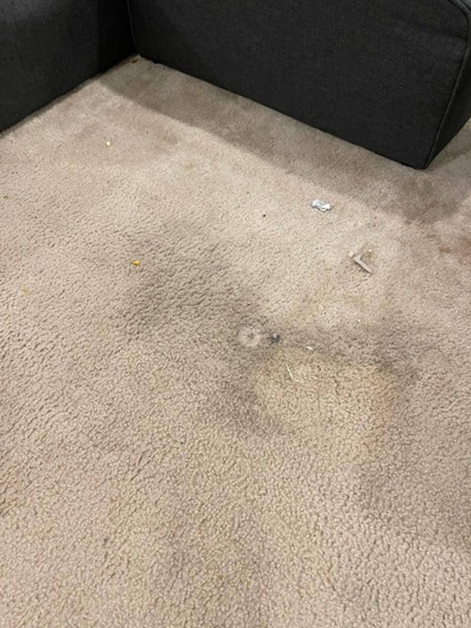 Carpet