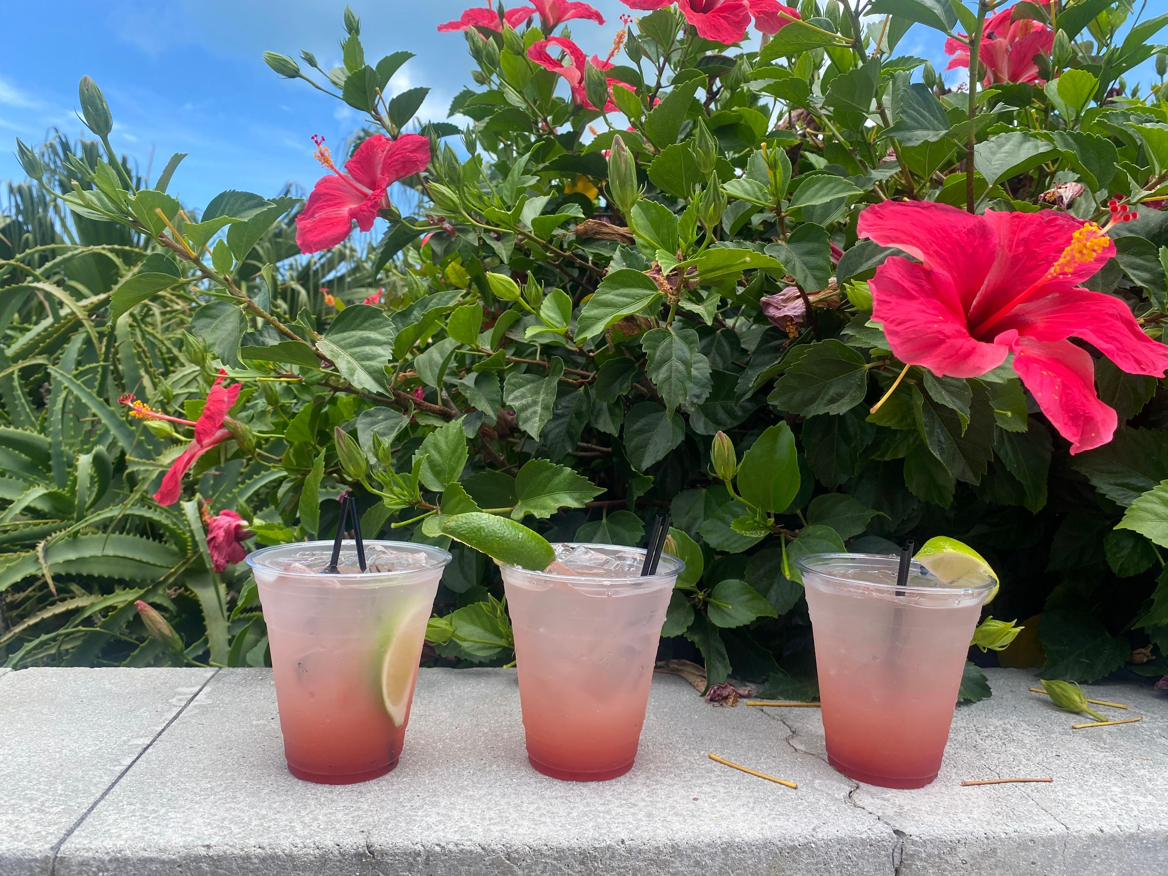 Bermuda mamas fav drink