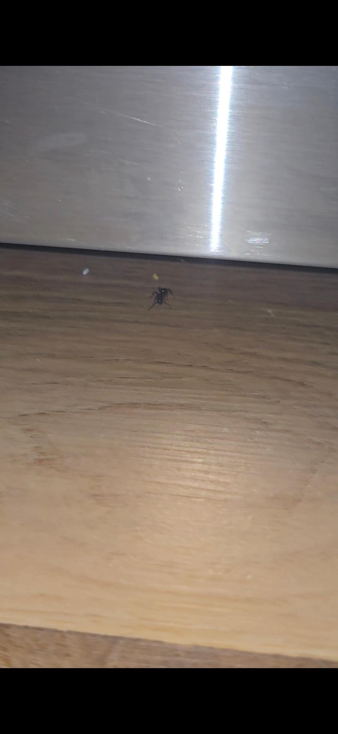 Under dishwasher