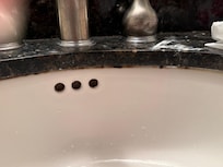 Mouldy grout around rim of sink